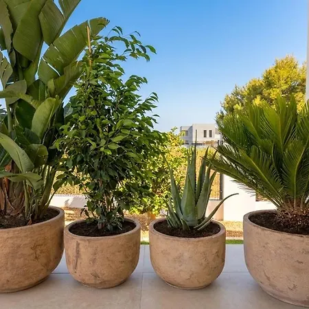 Villa Golondrinas Completly New 20 Minutes Walk Calm Area High Comodity And Decoration